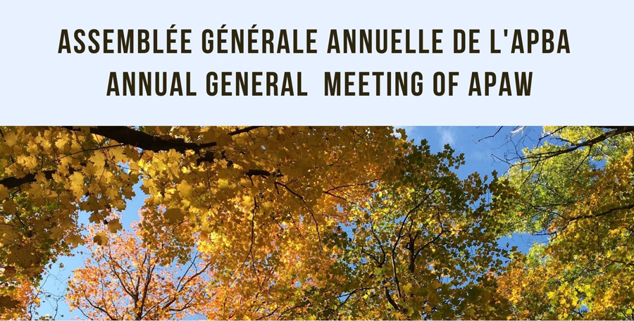 Banner of the 2021 APAW AGM